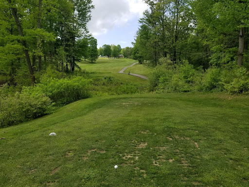 Golf Course «Wicked Woods Golf Club», reviews and photos, 14085 Ravenna Rd, Newbury Township, OH 44065, USA
