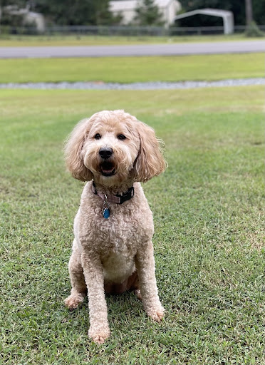 510 Martin Luther King Jr Blvd, Northport, AL 35476, USA