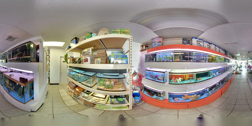 Pet Store «Fish Bowl Pets», reviews and photos, 1013 Hope St, Stamford, CT 06907, USA