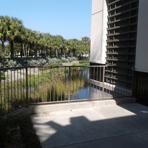 Department Store «Nordstrom Waterside», reviews and photos, 5489 Tamiami Trail N, Naples, FL 34108, USA