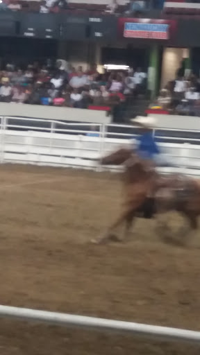 Arena «Freedom Hall», reviews and photos, 937 Phillips Ln, Louisville, KY 40209, USA