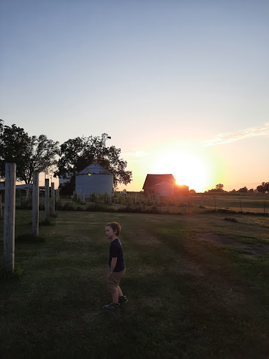 Vineyard «Ardon Creek Vineyard and Winery», reviews and photos, 2391 Independence Ave, Letts, IA 52754, USA