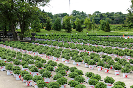 Plant Nursery «Blooming Acres», reviews and photos, 7561 State Rd, Wadsworth, OH 44281, USA