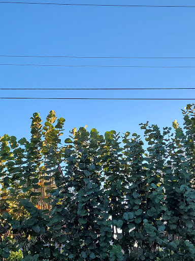 Golf Club «Old Marsh Golf Club», reviews and photos, 7500 Old Marsh Rd, Palm Beach Gardens, FL 33418, USA