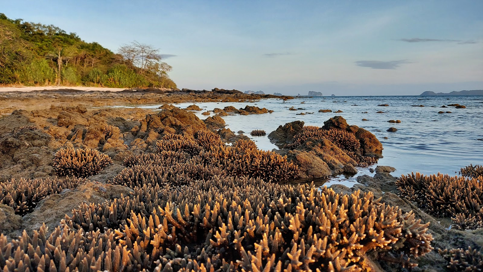 Fotografie cu Ruby Beach cu nivelul de curățenie înalt