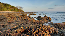 Photo de Ruby Beach zone sauvage
