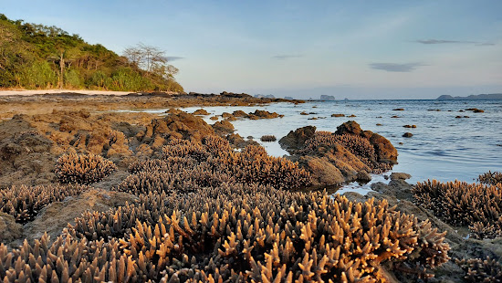 Ruby Beach
