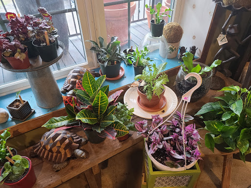 Garden Center «Victoria Gardens», reviews and photos, 1 Cottekill Rd, Rosendale, NY 12472, USA