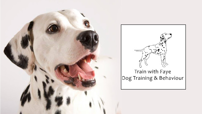 Train with Faye, Dog Training & Behaviour