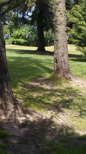 Public Golf Course «Lake Oswego Public Golf Course», reviews and photos, 17525 SW Stafford Rd, Lake Oswego, OR 97034, USA