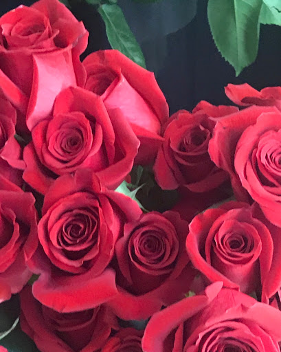 Florist «Flower City Florist», reviews and photos, 917 N Federal Hwy, Fort Lauderdale, FL 33304, USA