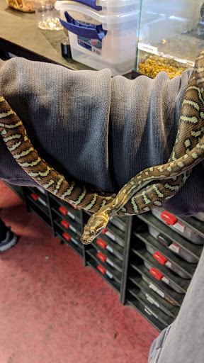 Pet Store «Pet Paradise», reviews and photos, 307 Kellam Rd, Virginia Beach, VA 23462, USA