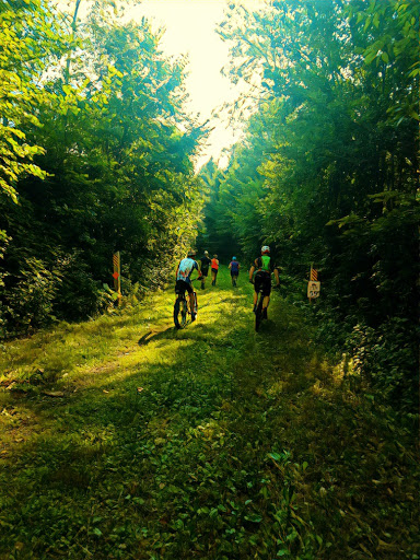 Sporting Goods Store «Out There: Nordic Sports», reviews and photos, 502 N Main St, Rice Lake, WI 54868, USA