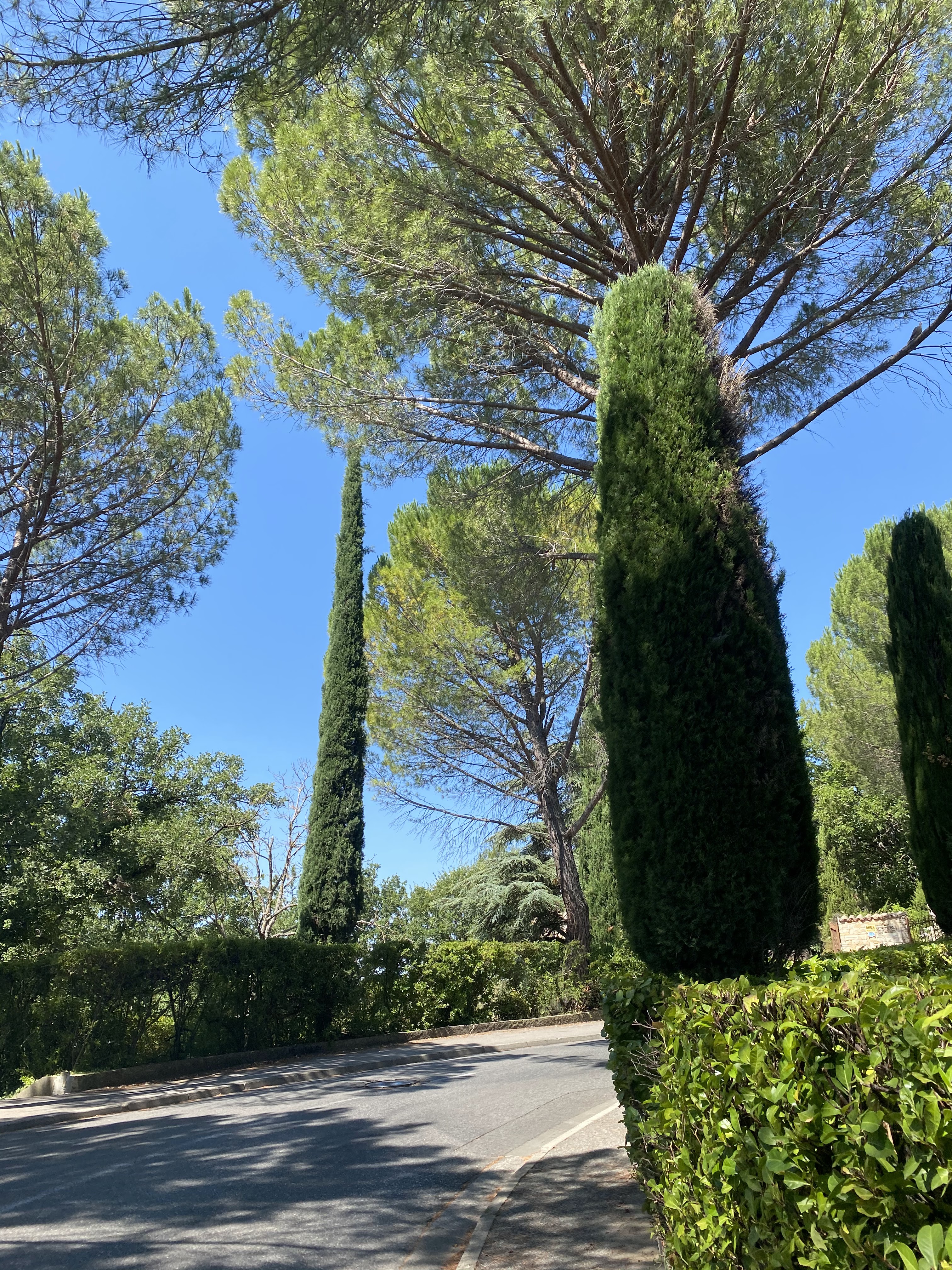Photo n° 3 de l'avis de Svitlana.v fait le 19/07/2020 à 18:34