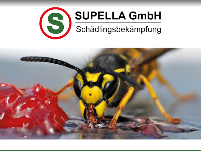 Rezensionen über Supella GmbH in Uster - Andere
