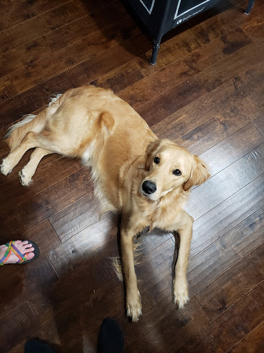 Pet Supply Store «PetSmart», reviews and photos, 1700 Norman Dr #200, Valdosta, GA 31601, USA