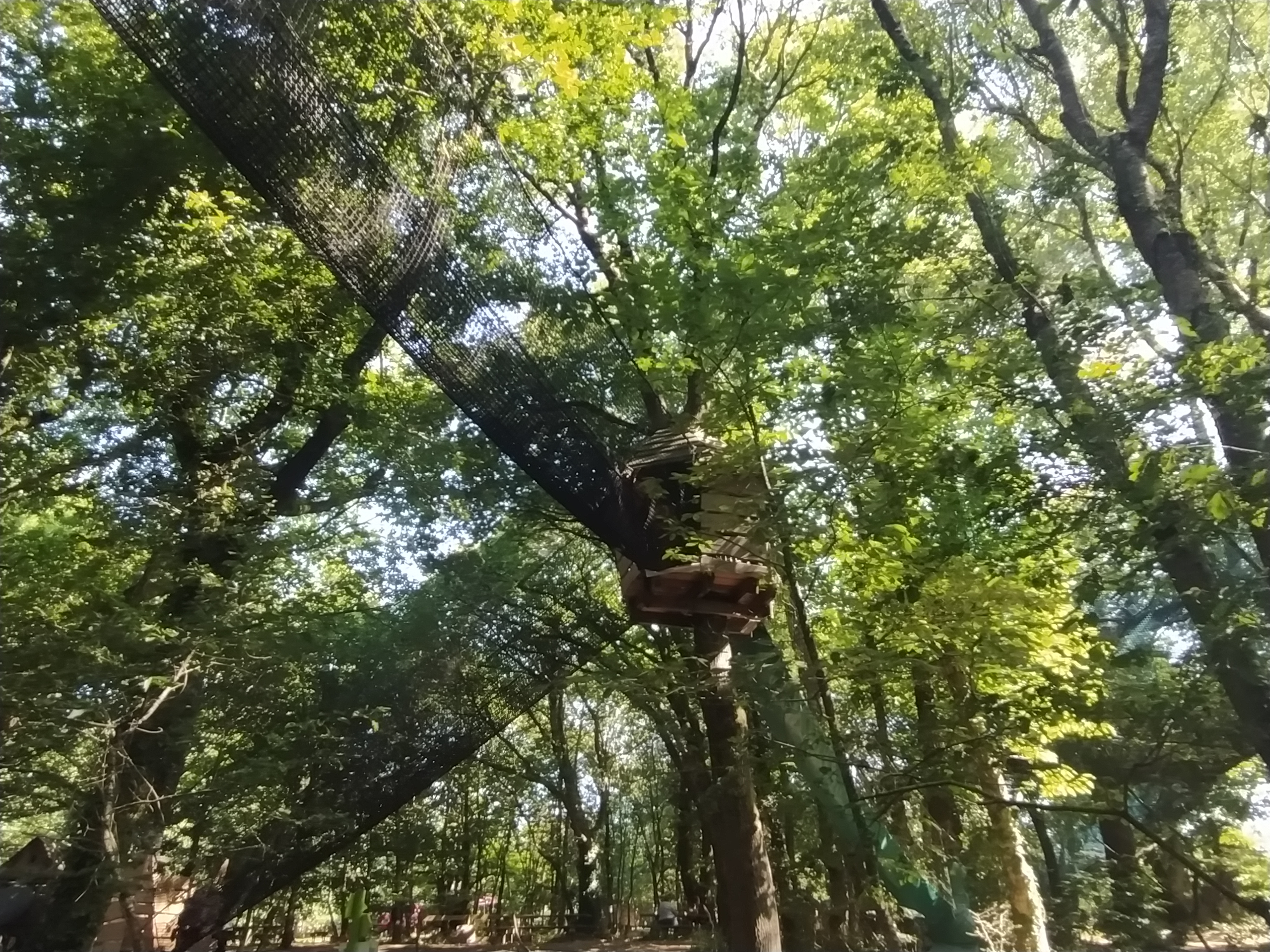 Photo n° 13 de l'avis de Greg.i fait le 20/07/2021 à 12:31