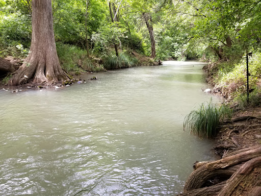 Medina River Natural Area