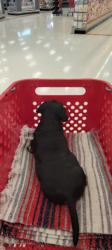 Department Store «Target», reviews and photos, 15614 Whittwood Ln, Whittier, CA 90603, USA