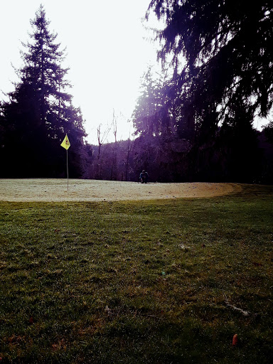 Golf Course «Willapa Harbor Golf Course & RV Park», reviews and photos, 2424 Fowler Rd, Raymond, WA 98577, USA