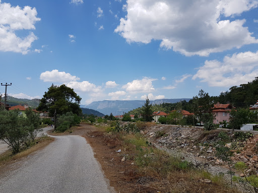 Labunelabu Art Camp & Activities And Bungalows