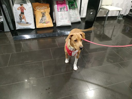 Clínica Veterinaria Almohade en Bollullos de la Mitación