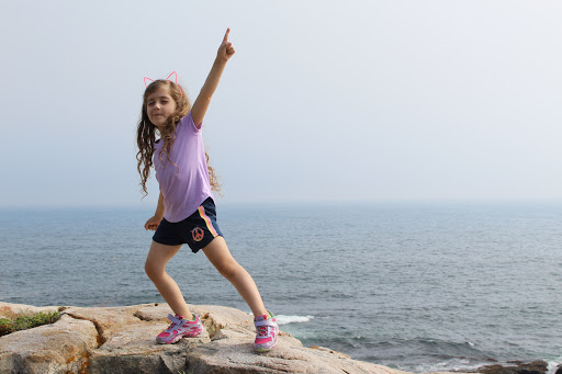 Vista Point «Schoodic Point», reviews and photos, Arey Cove Rd, Winter Harbor, ME 04693, USA
