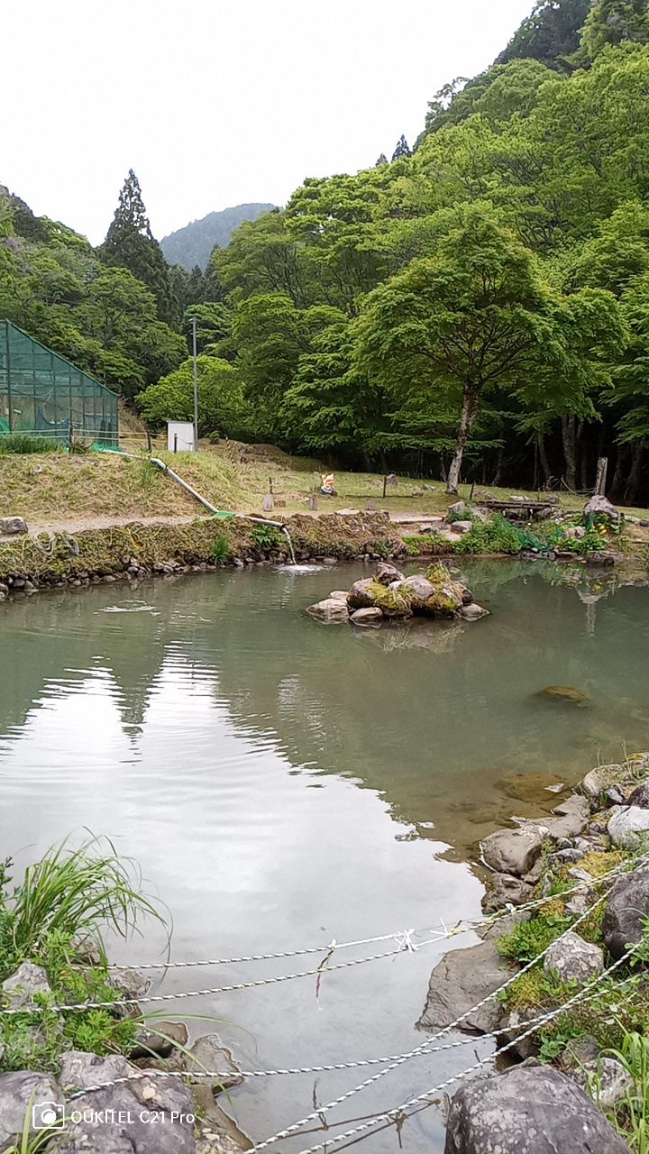 大河内清流やまめの里