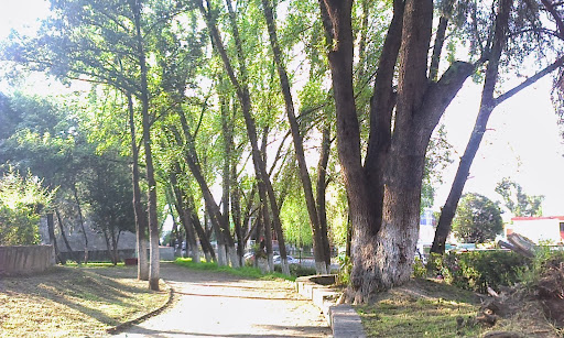 Parque Adolfo López Mateos