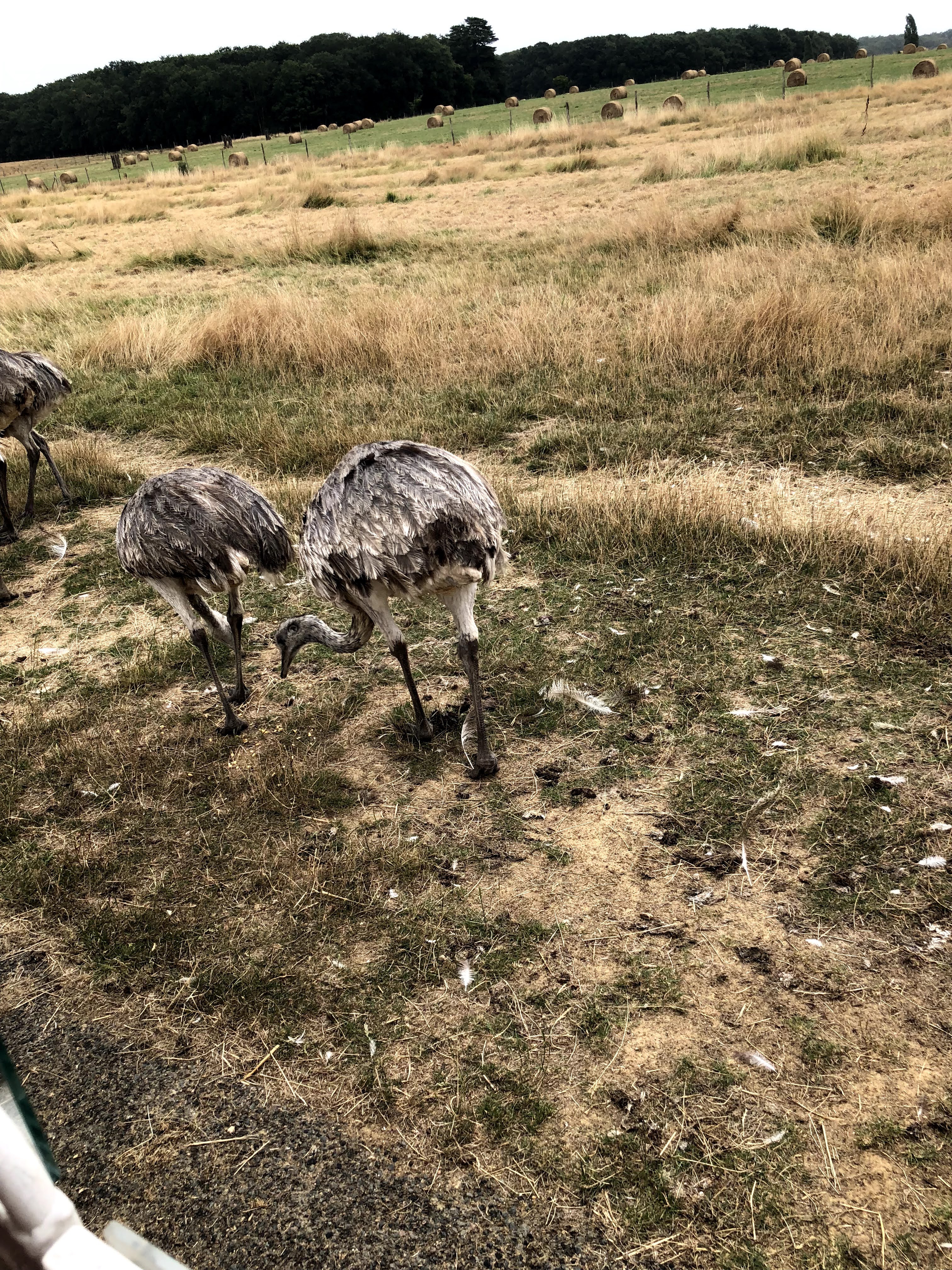 Photo n° 46 de l'avis de Julien.o fait le 27/07/2018 à 17:41
