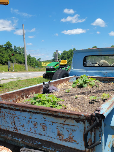 Barbecue Restaurant «Farm House Produce», reviews and photos, 4690 GA-52, Dahlonega, GA 30533, USA