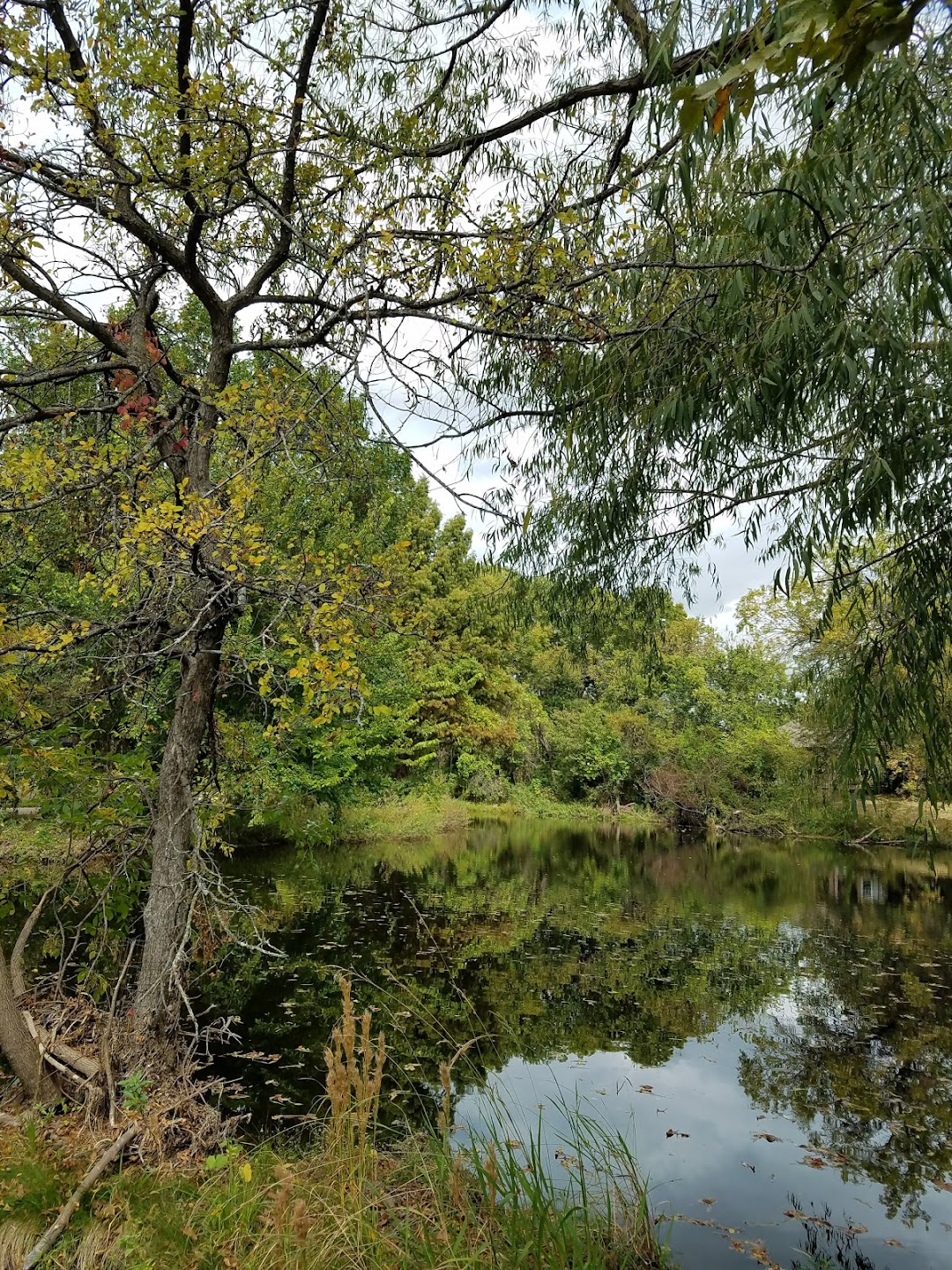 Shadow Lakes Park