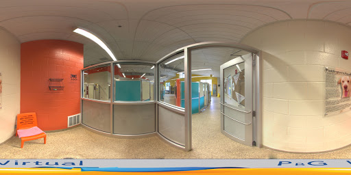 Animal Protection Organization «Charleston Animal Society», reviews and photos