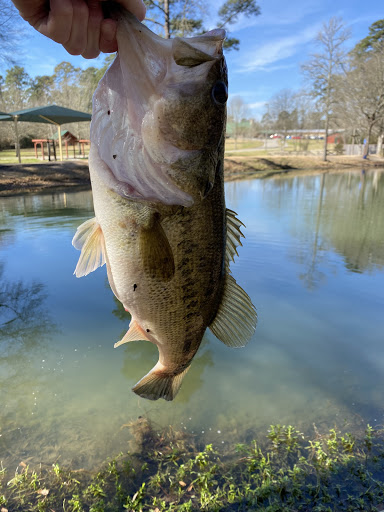 Park «Dennis Johnston Park», reviews and photos, 709 Riley Fuzzel Rd, Spring, TX 77373, USA