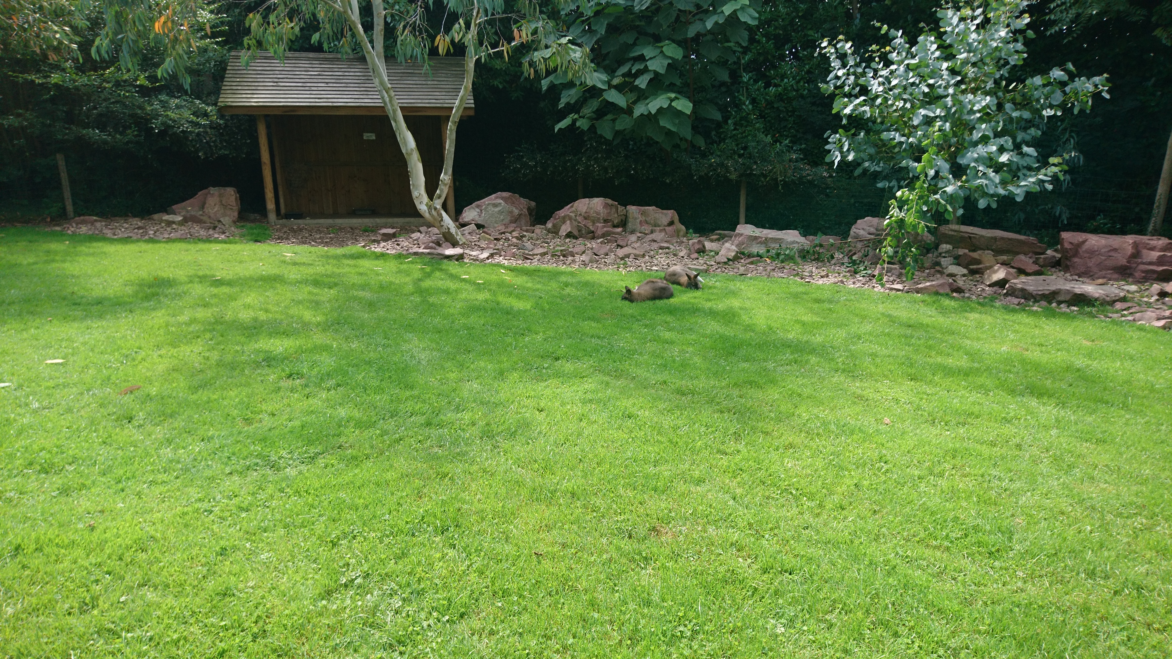 Photo n° 1 de l'avis de Philippe.e fait le 07/08/2017 à 14:04