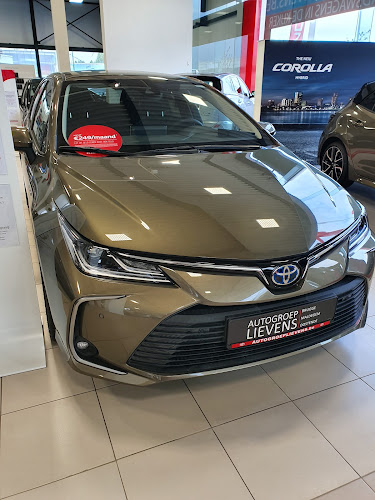 Toyota Lievens Brugge NV - Parkeergarage