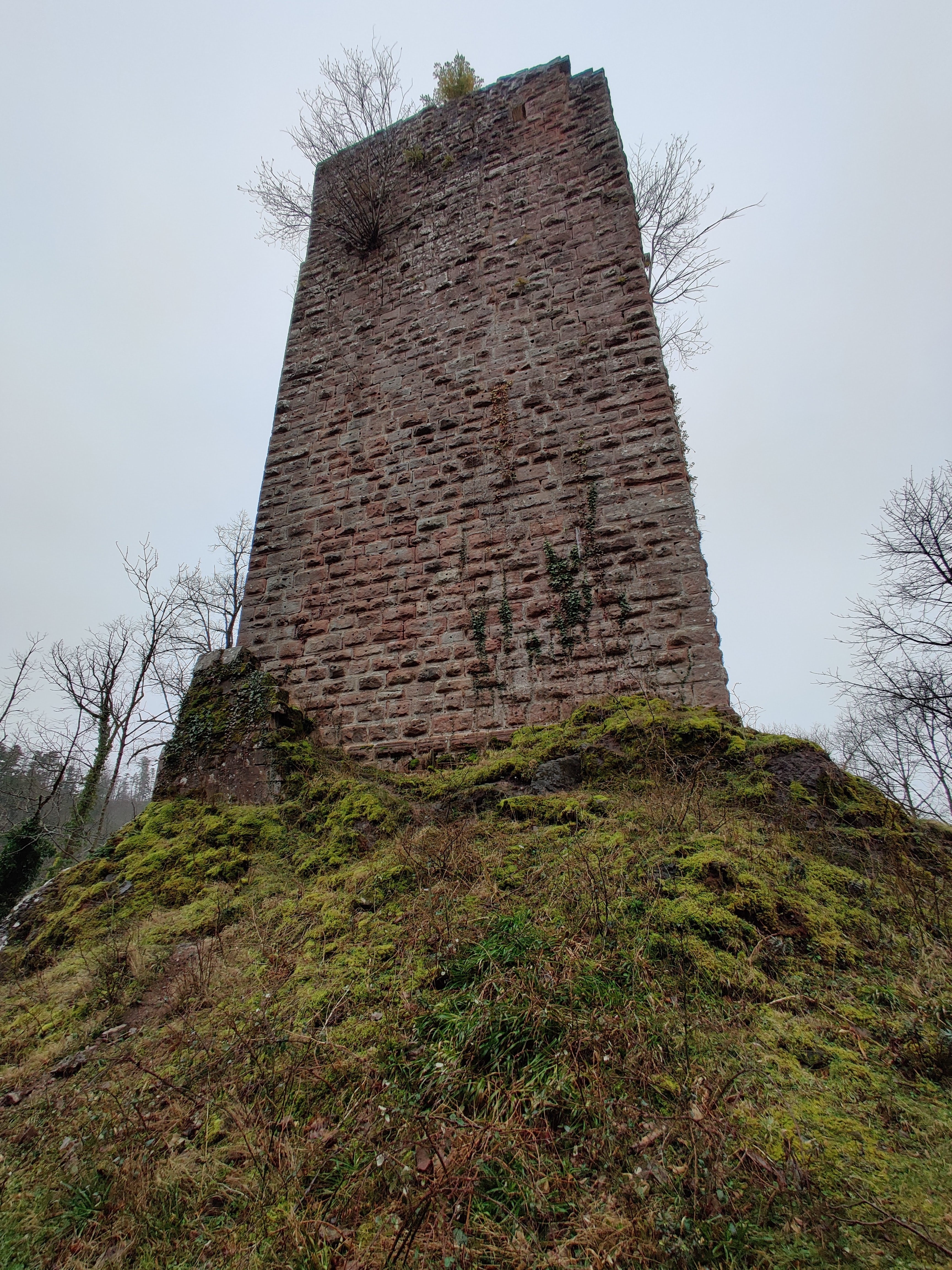 Photo n° 1 de l'avis de Léa.e fait le 02/03/2020 à 12:32