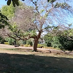 Photo n°18 de l'avis de Daniel.a fait le 23/08/2022 à 08:57 sur le  Restaurant Richtershof 1809 à Mülheim (Moselle)