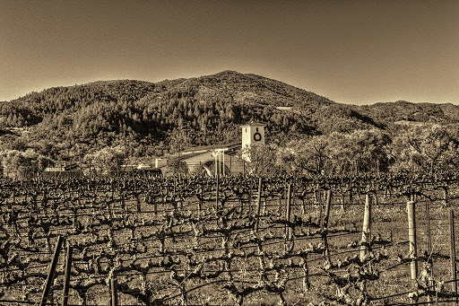 Winery «Robert Mondavi Winery», reviews and photos, 7801 St Helena Hwy, Oakville, CA 94562, USA