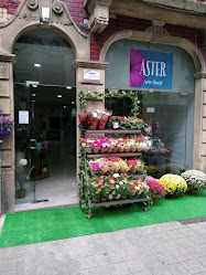 Áster, arte floral