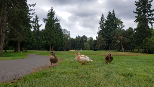 Golf Course «Bellevue Golf Course», reviews and photos, 5500 140th Ave NE, Bellevue, WA 98005, USA
