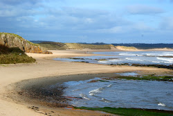 Zdjęcie Plaża Tyninghame położony w naturalnym obszarze