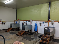 Splash Hound USA Pet Supply & Dog Wash - Photo 2 - Car repair in Sacramento, CA, Sacramento