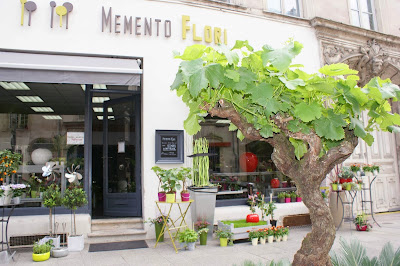 Memento Flori - Design Végétal à Nancy