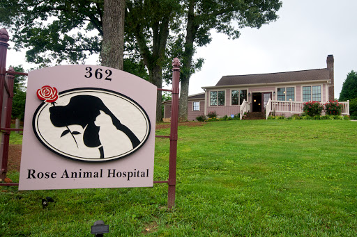 362 S Atlanta St, Roswell, GA 30075, USA