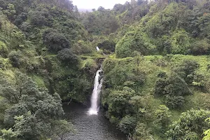 Ko'olau Forest Reserve image