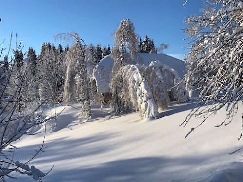 Gîte Le Chalet de la Forêt à Les Deserts