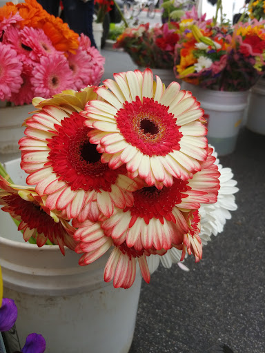 Irvine Farmers Market image