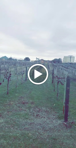 Winery «Delaney Vineyards», reviews and photos, 2000 Champagne Blvd, Grapevine, TX 76051, USA