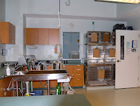 Bees Ferry Veterinary Hospital - Photo 4 - Car repair in Charleston, SC, North Charleston